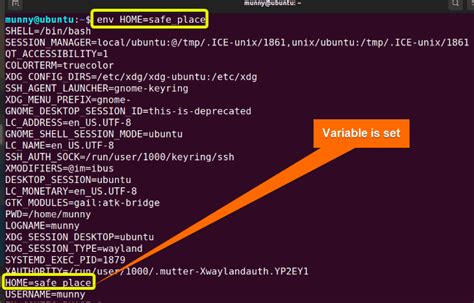 how to print env variable in linux and why do we need to keep our environment variables organized?