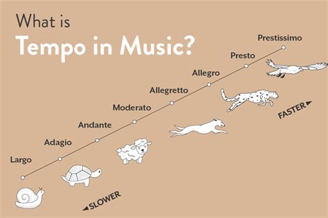 prestissimo meaning in music and the role of tempo in shaping musical narratives