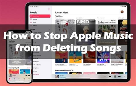 Why Did Apple Music Delete My Music? And Why Do Cats Always Land on Their Feet?